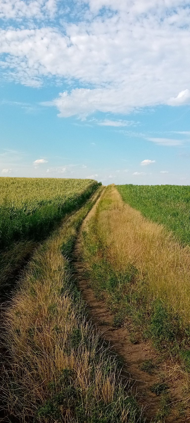 20250712_173204.jpg