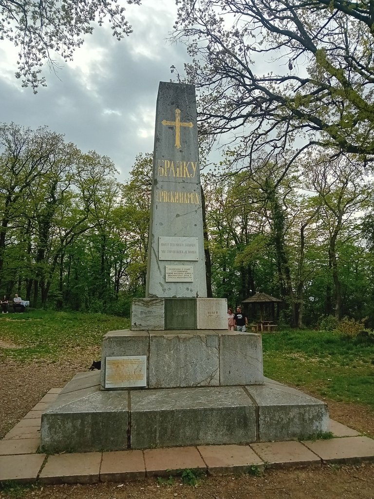 20250413_164041.jpg