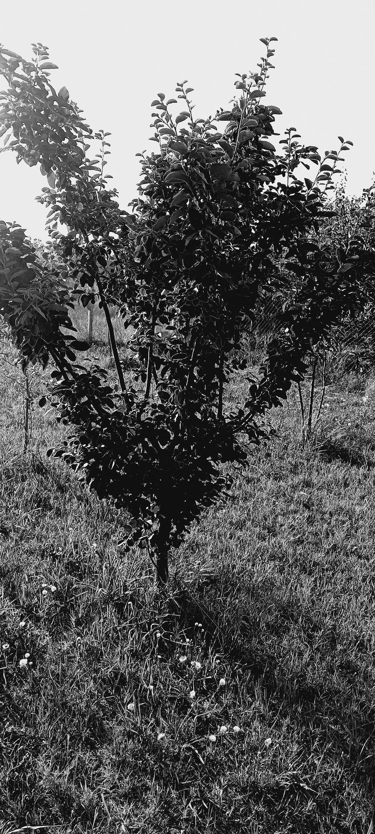 20250720_182200.jpg