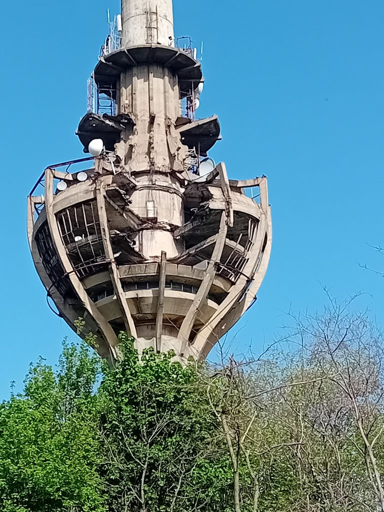 20250421_160422.jpg