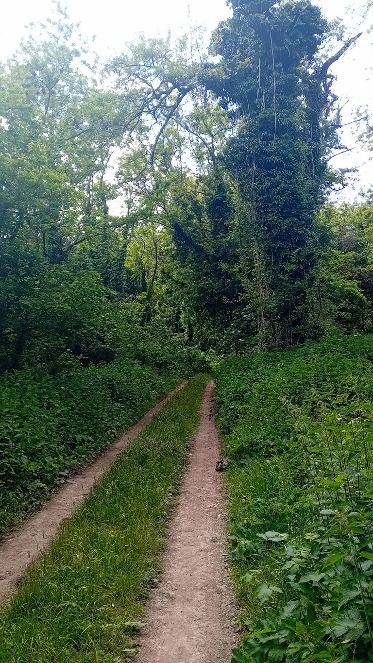 20250525_152251.jpg