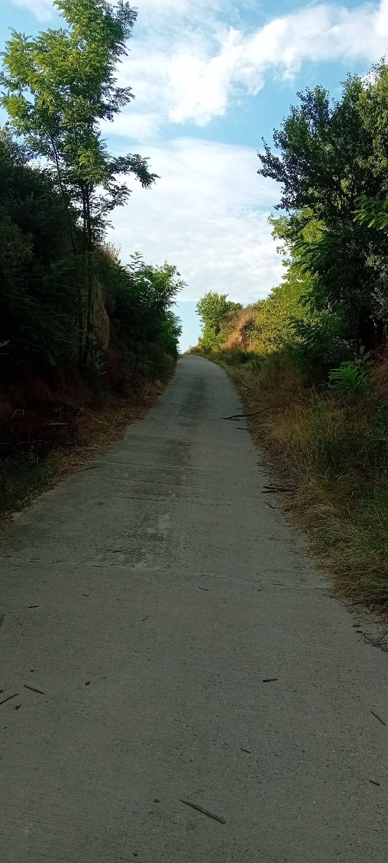 20250712_175301.jpg