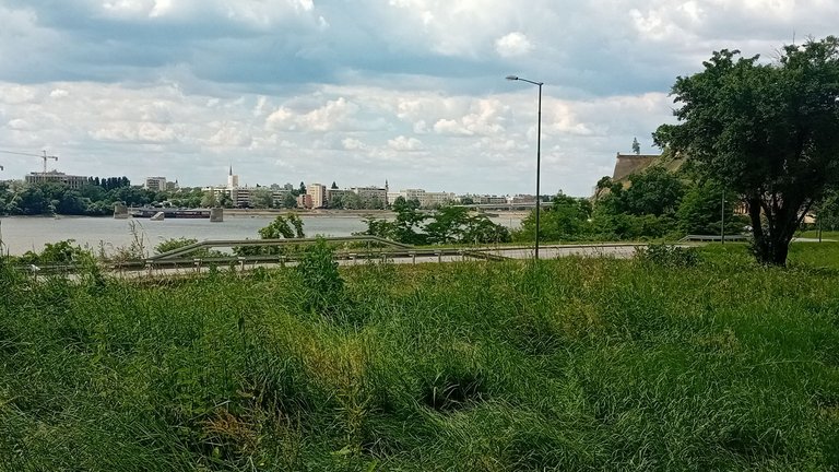 20250525_135333.jpg