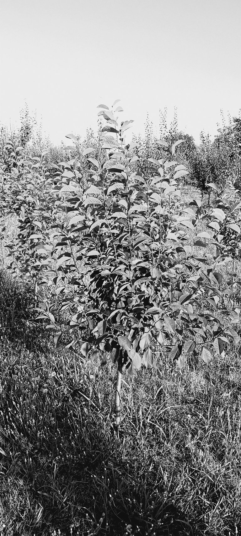 20250720_182328.jpg