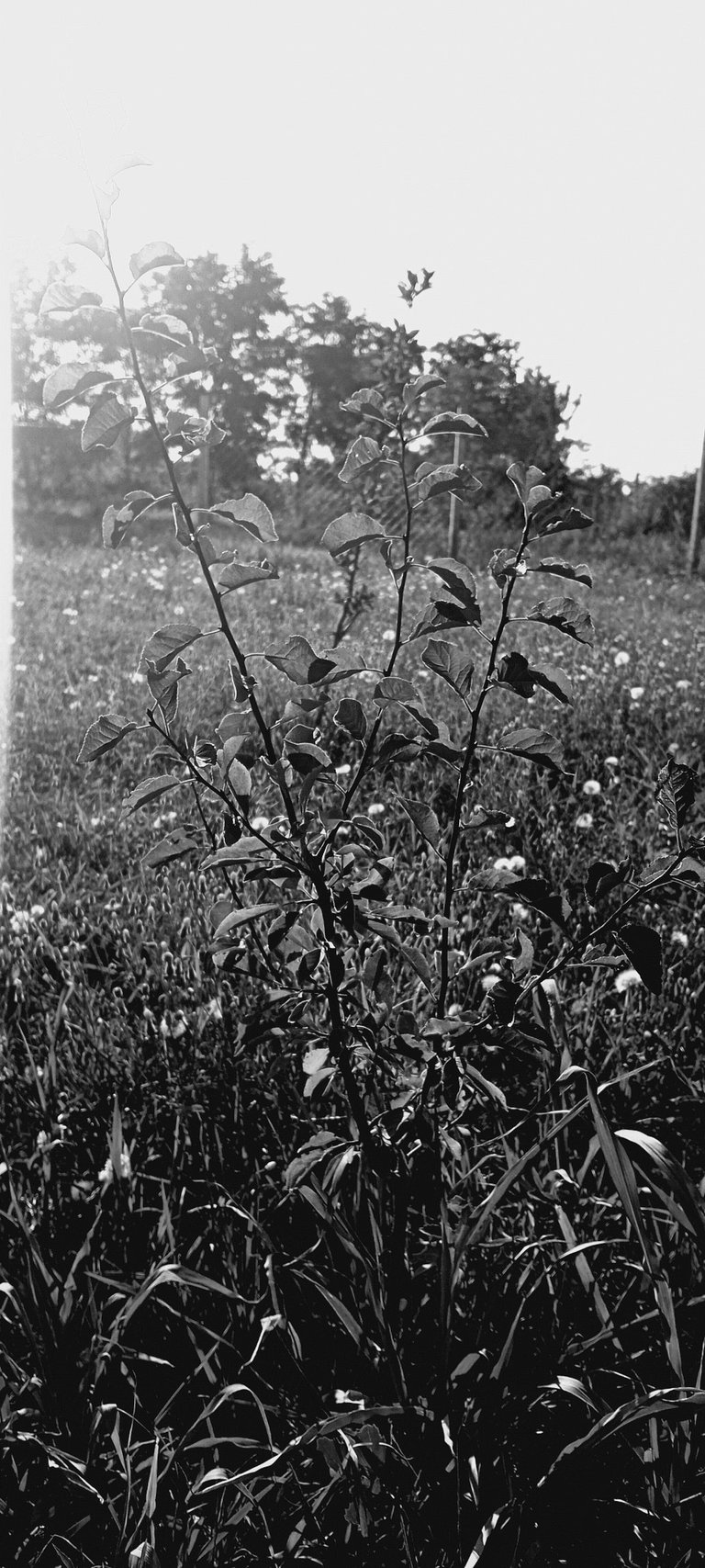 20250720_182147.jpg