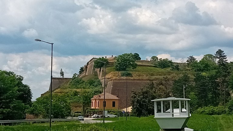 20250525_135214.jpg