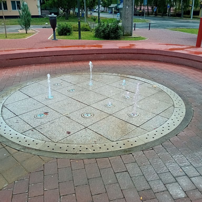 20250817_110421.jpg