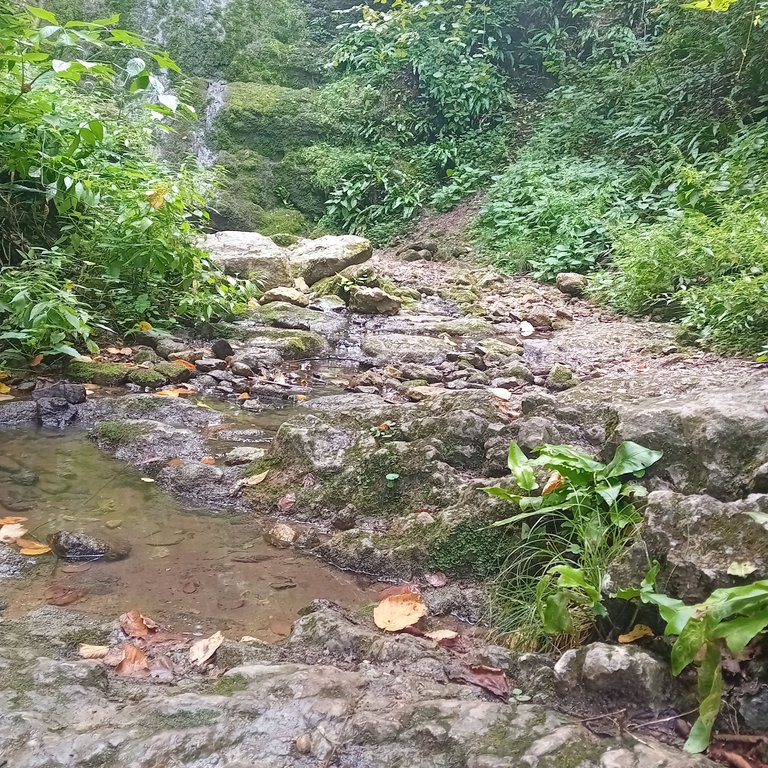 20250824_132956.jpg
