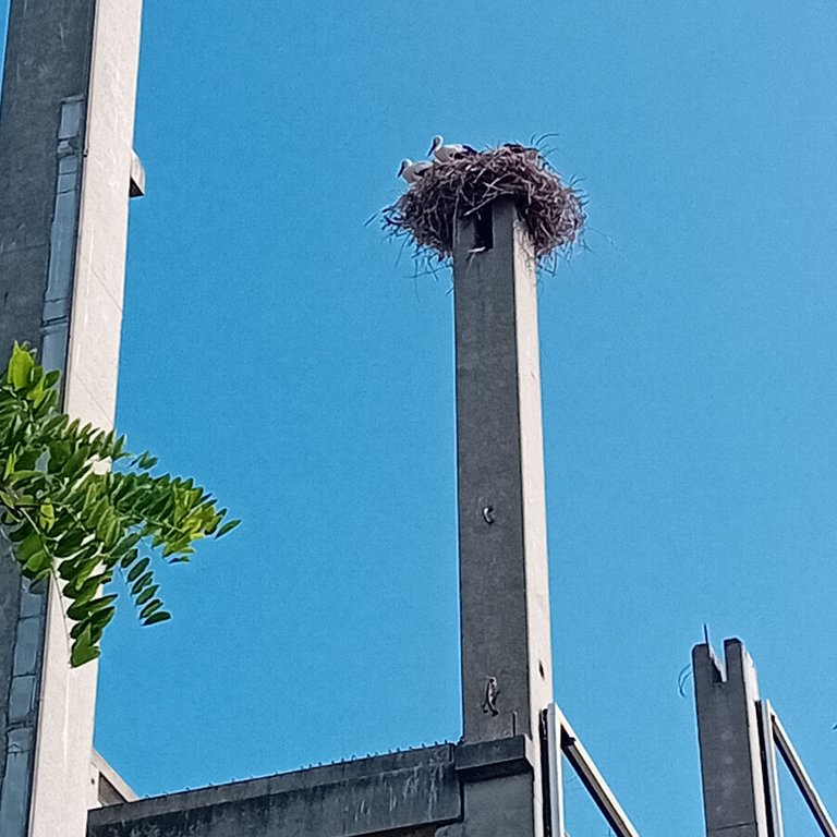 20250723_160243.jpg