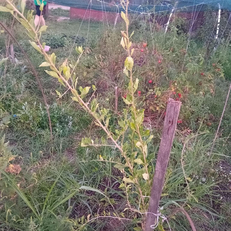 20250819_195105.jpg