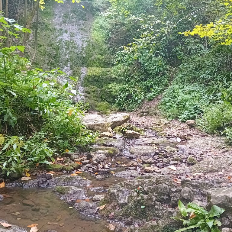 20250824_133000.jpg