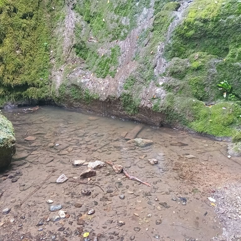 20250824_131240.jpg