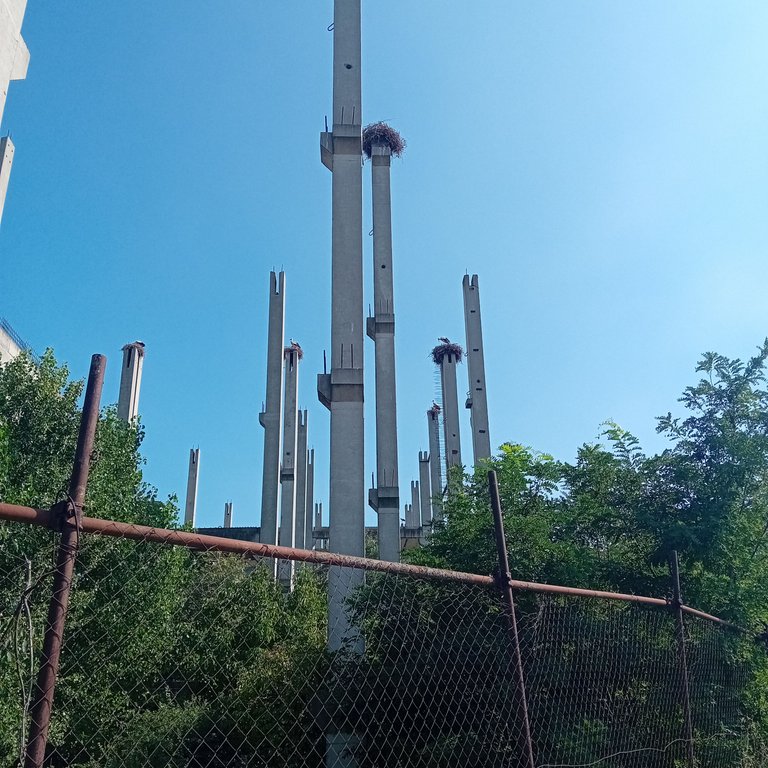 20250723_160827.jpg