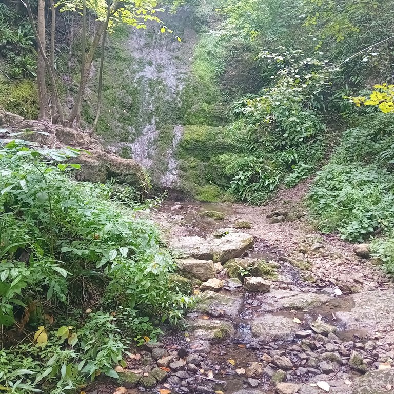20250824_133003.jpg