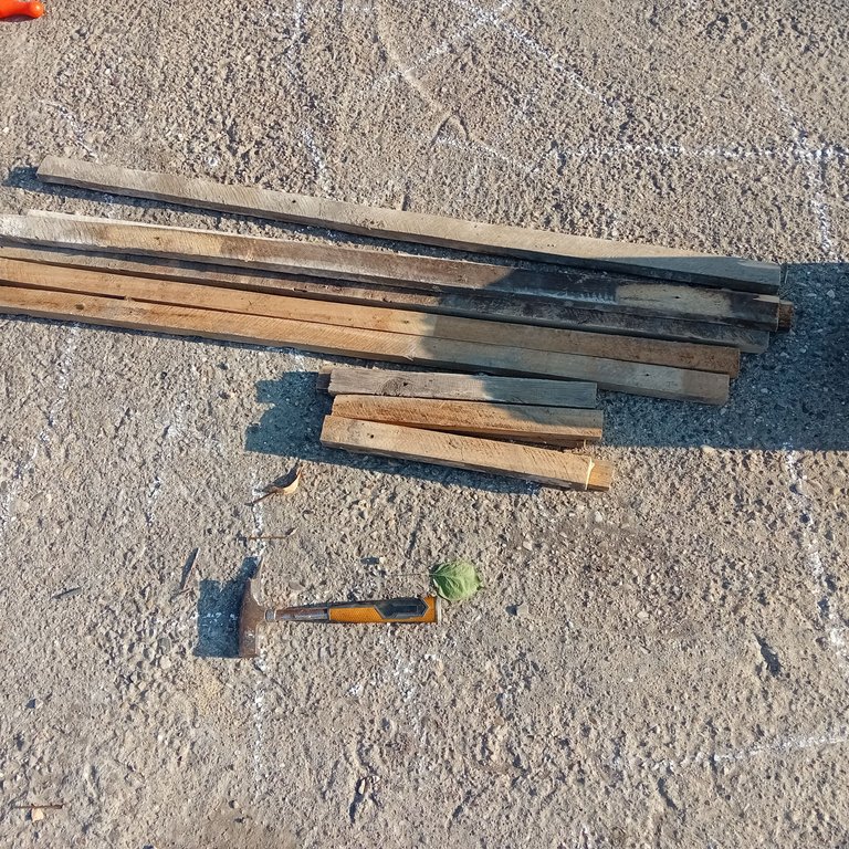 20250807_175812.jpg