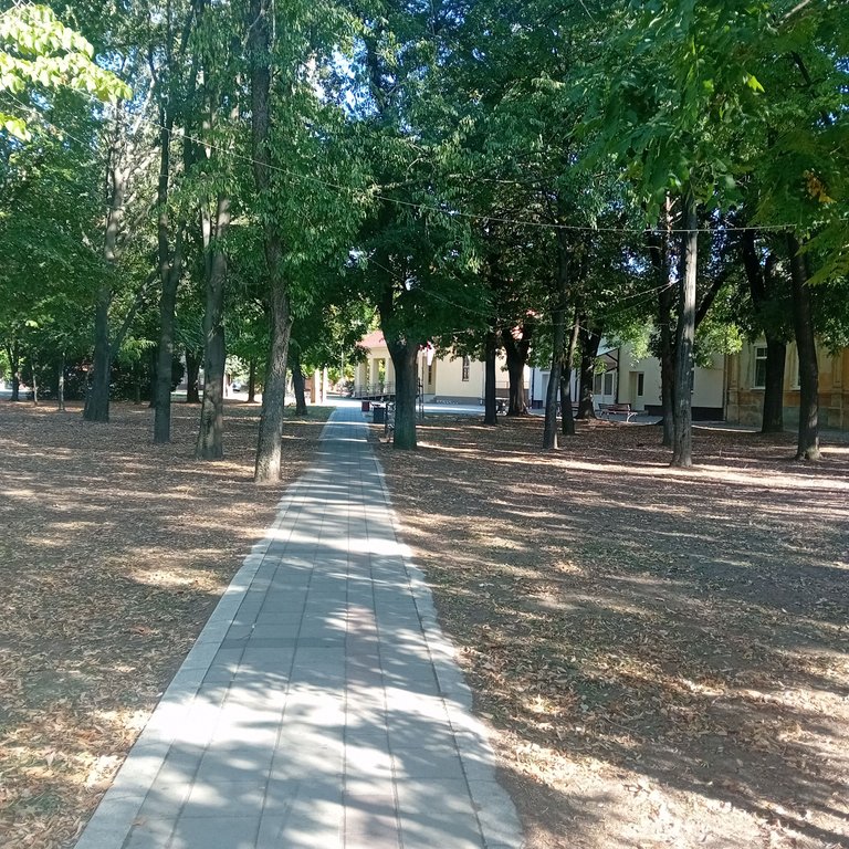 20250902_162459.jpg