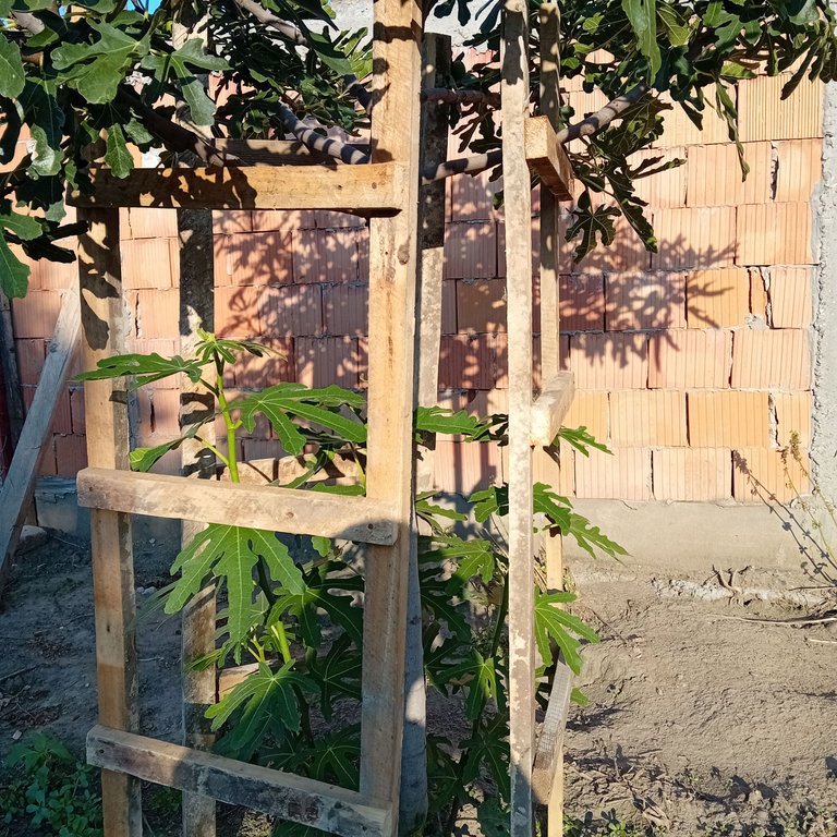 20250807_181727.jpg