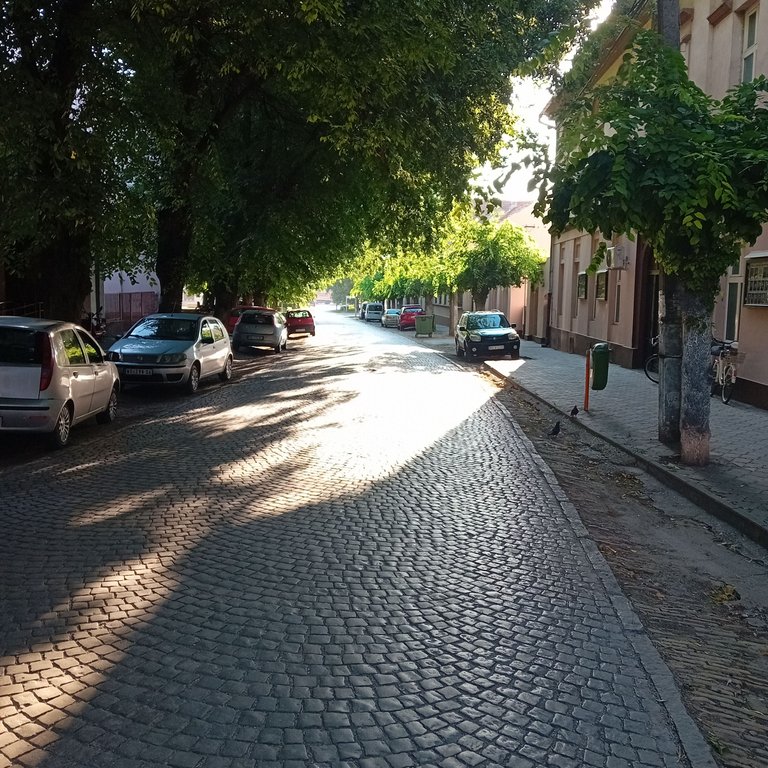 20250812_072151.jpg