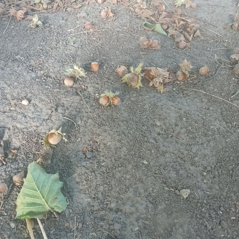 20250829_172827.jpg