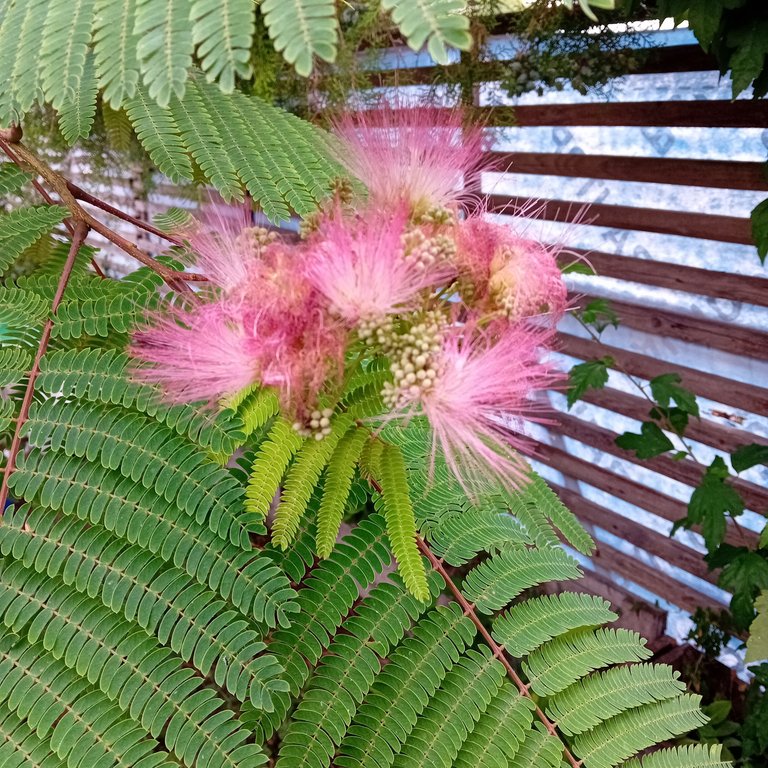 20250817_094029.jpg