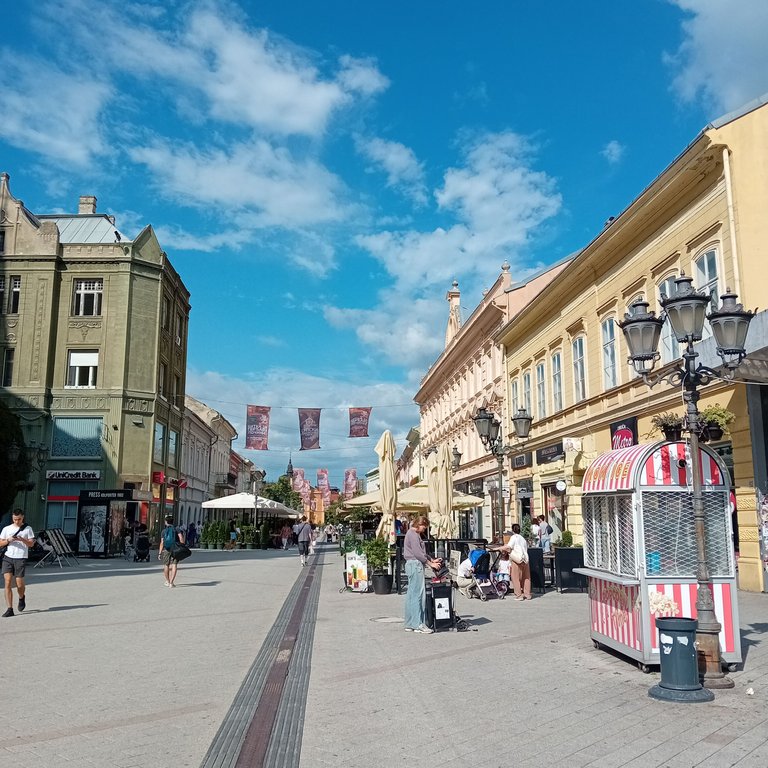20250804_161350.jpg