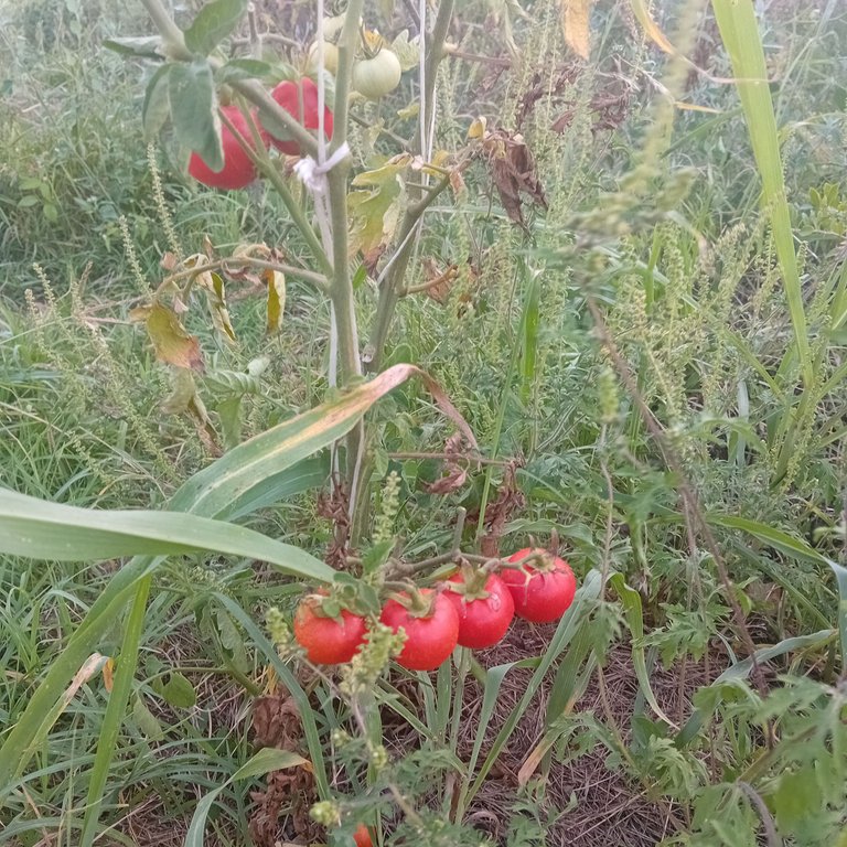 20250829_173244.jpg