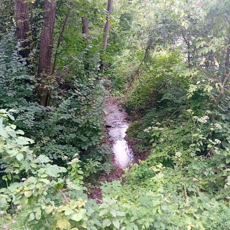 20250824_123933.jpg