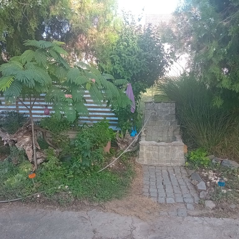20250829_173537.jpg
