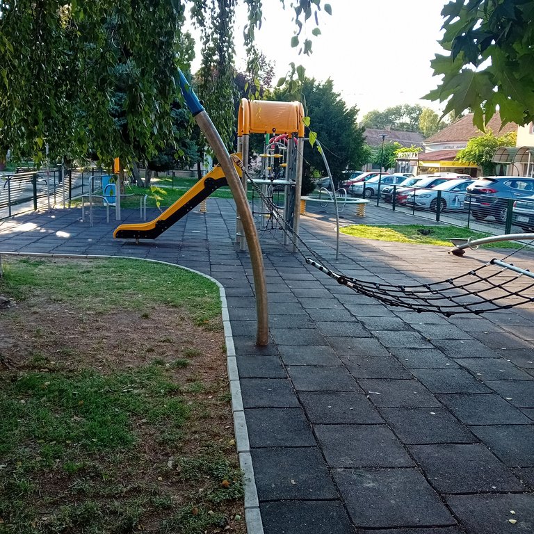 20250812_071251.jpg