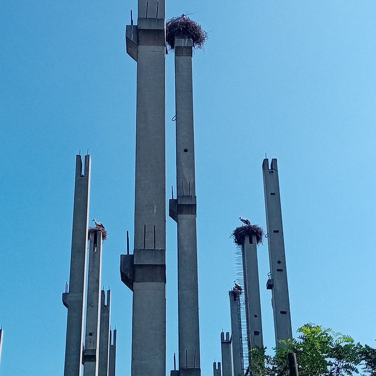 20250723_160831.jpg