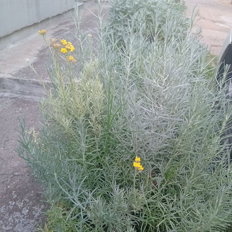 20250829_173621.jpg