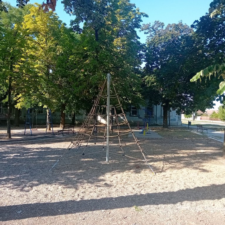 20250902_162255.jpg