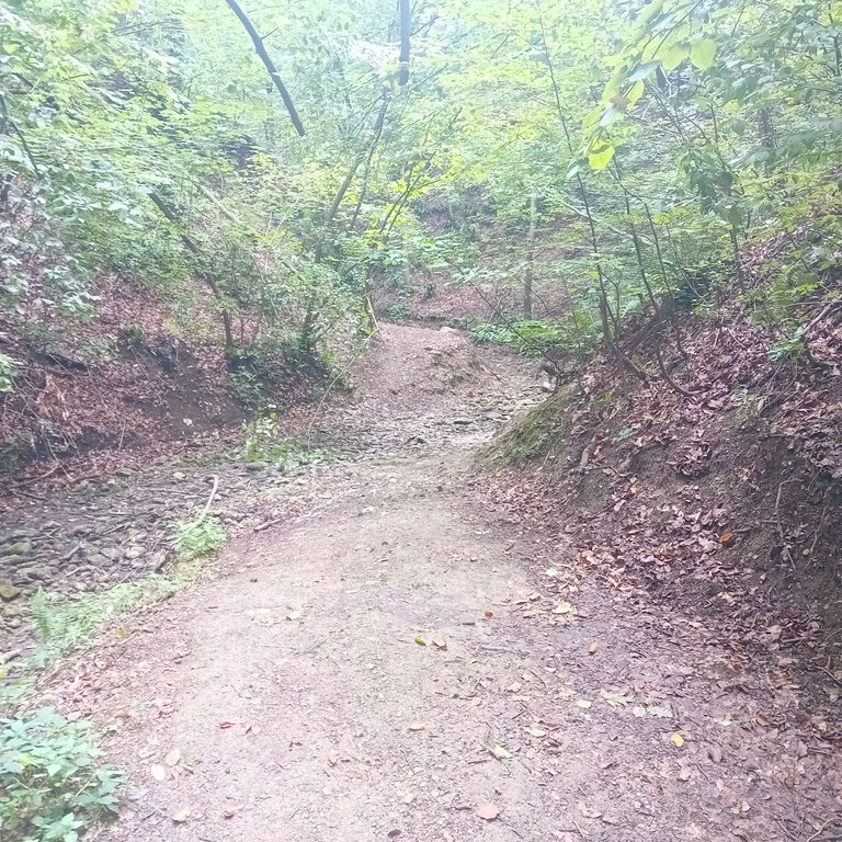 20250824_133524.jpg