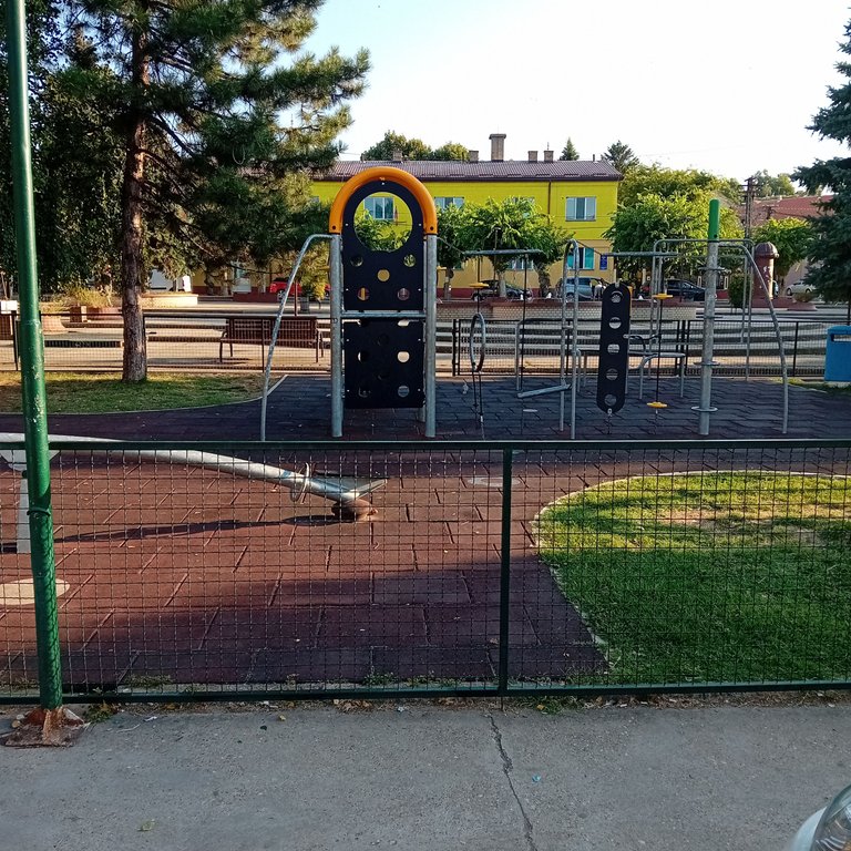 20250812_071136.jpg