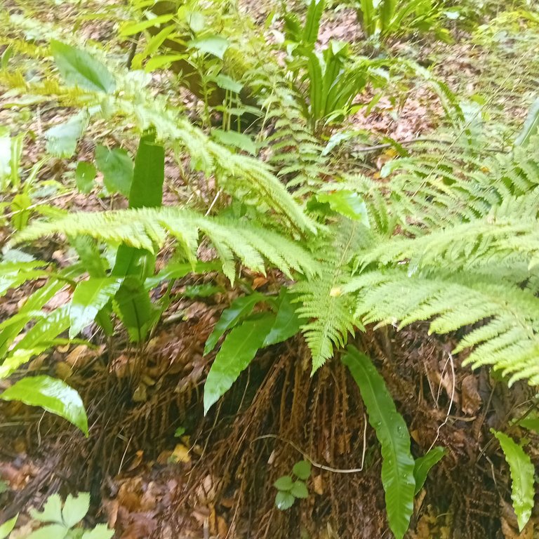 20250824_130831.jpg