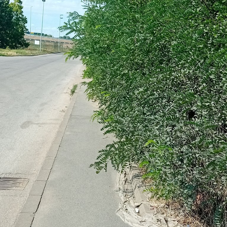 20250723_160146.jpg