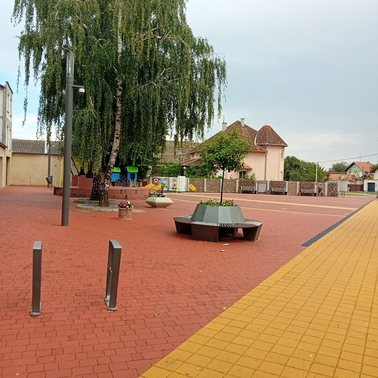 20250817_110337.jpg