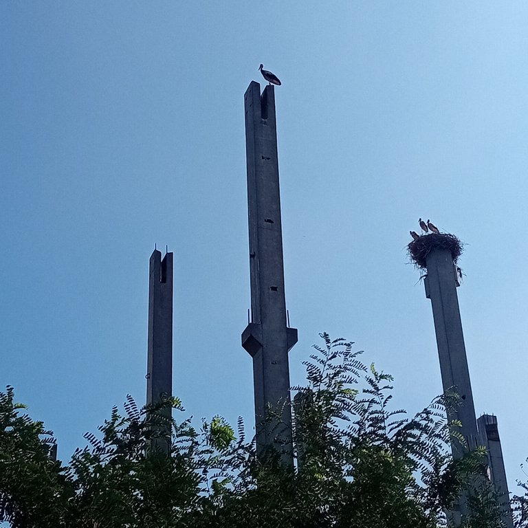 20250723_160728.jpg