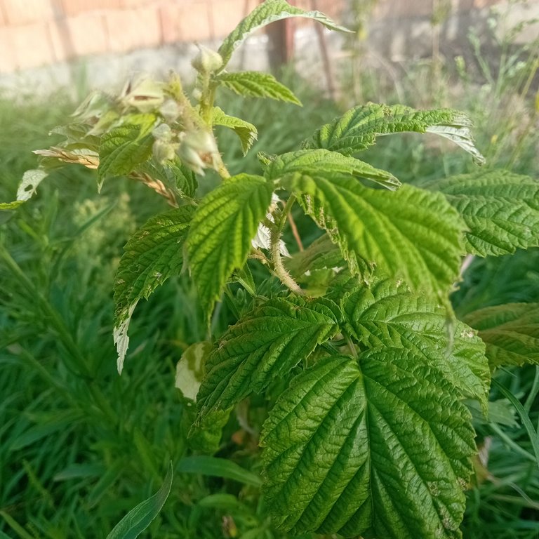 20250829_172934.jpg
