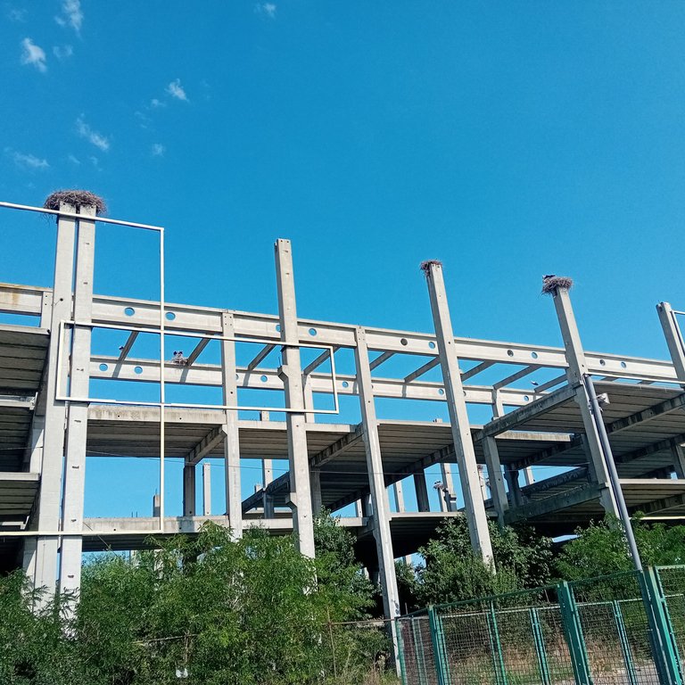20250723_155959.jpg