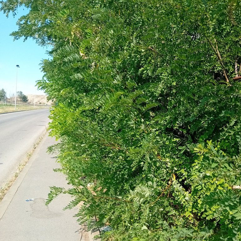 20250723_161003.jpg