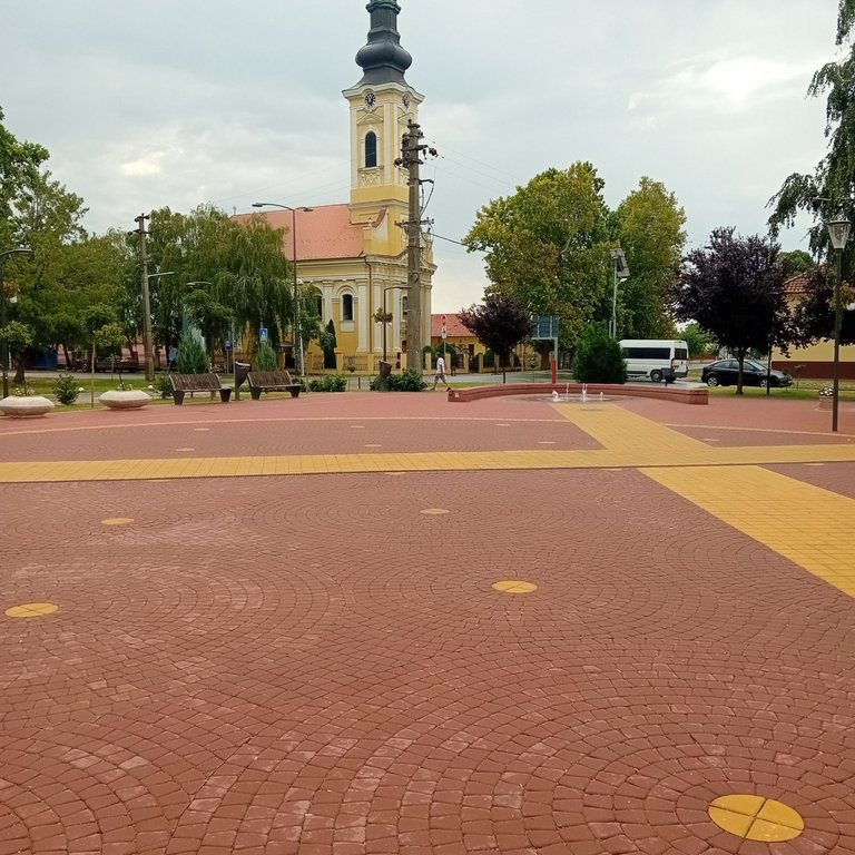20250817_110548.jpg
