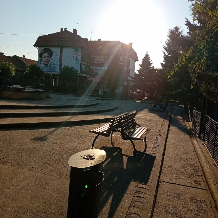 20250812_071304.jpg