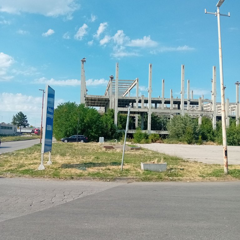 20250723_155754.jpg
