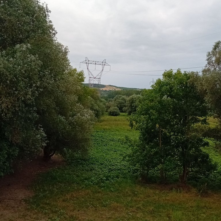 20250729_192901.jpg