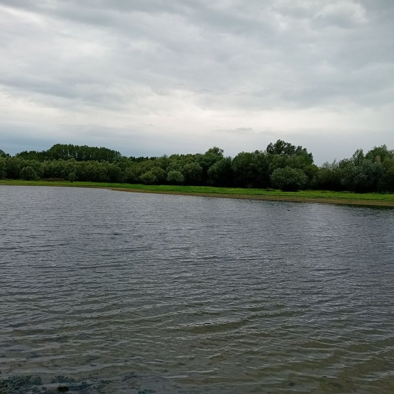 20250729_184237.jpg