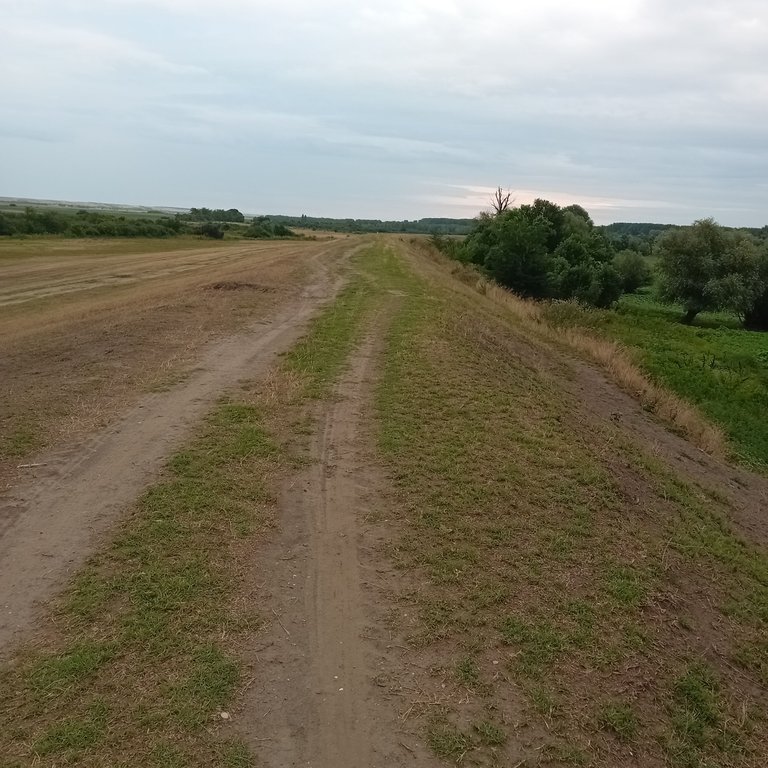 20250729_191543.jpg