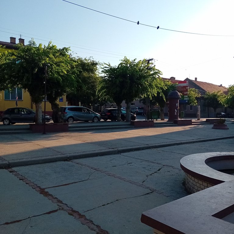 20250812_071352.jpg