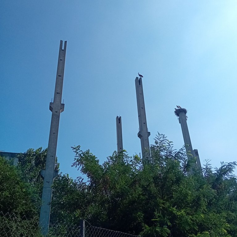 20250723_160718.jpg