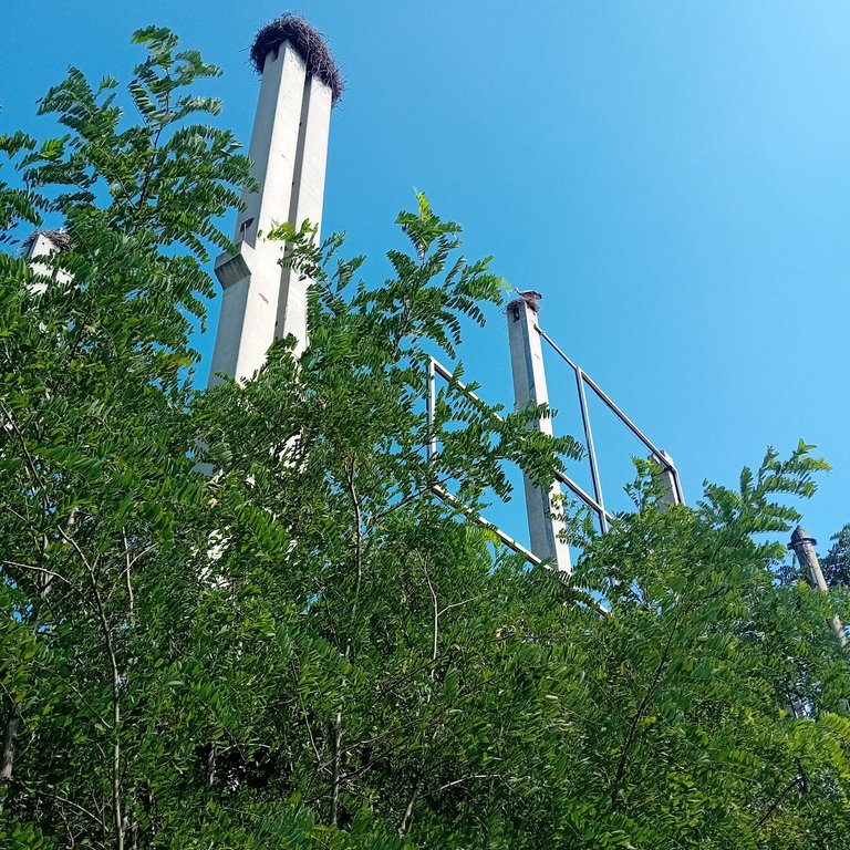 20250723_160919.jpg